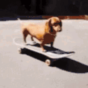 ryangoslingkickflip