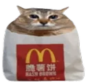 confusedcatbecauseheisahashbrown