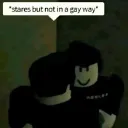 notgaybcitsthehomies