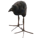 DAMN Discord emoji