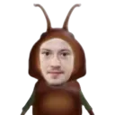 roach