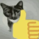 CatThumbsUp