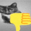 CatThumbsDown