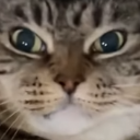 AngyBilla Discord emoji