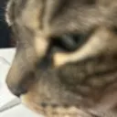 huntersideeye