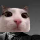 cinema2_cat