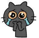 catcry5