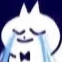 catcry catcry