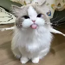emoji_379 emoji_379