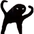 AngerCat