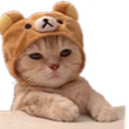 z_sl_waiting Discord emoji