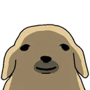 dogstare dogstare