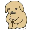 dogsit dogsit