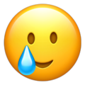 z_sl_sadlife Discord emoji