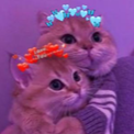 z_sl_cathug Discord emoji
