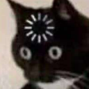 cat_loading Discord emoji