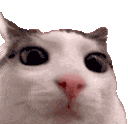 cutecat animated emote from RIZZ HEAVEN | Chill • E-Dating • VC • Events • Friends • Giveaways