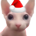 christmas8 Discord emoji