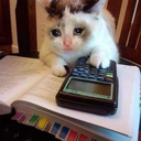 crystudycat Discord emoji