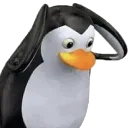 pinConfused