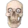 skully