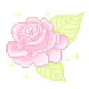 pink_rose