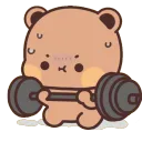 bearWorkout