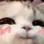 CAT_UWU2
