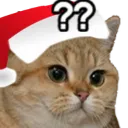 christmas_starecat