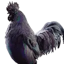midnight_scrappy