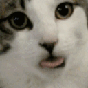 licky