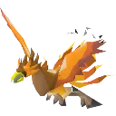 phoenixpet