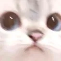 catwait