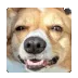 Screenshot202512012056131