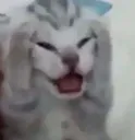 4_