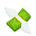 SN_Cash_Fly