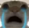 CryingCat