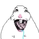 HamsterDrool