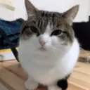 nya