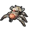 issakis