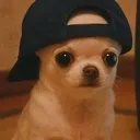 emoji_1