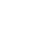 riotfoamchem