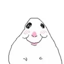 D_