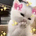 kitty_cute_hehe