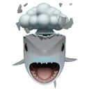shark