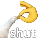 sym Discord emoji