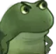frogeexcuseyou
