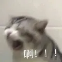 emoji_17