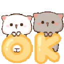 nya_ok