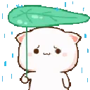 nya_rain
